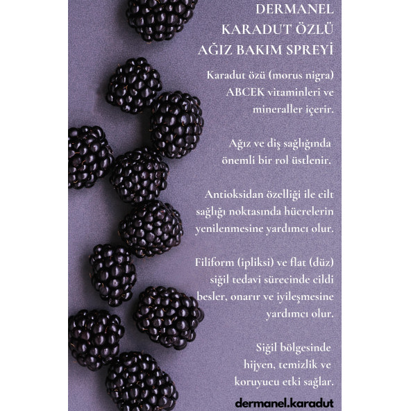 Dermanel Ağız Bakım Spreyi - 3