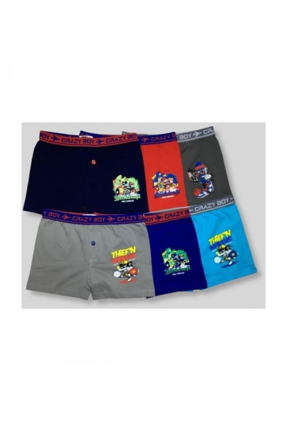 Erkek Çocuk Çok Renkli 6Lı Paket Elastan Pamuk Baskılı Boxer