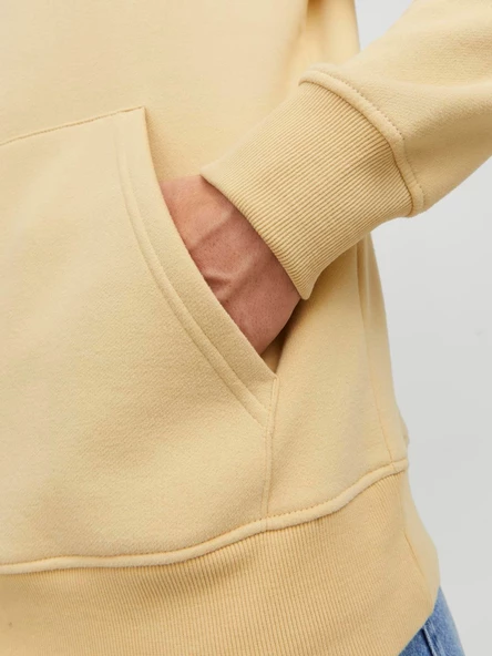 JACK JONES Kapüşonlu Yazı Baskılı Erkek Sweatshirt 12242197 - Resim 6