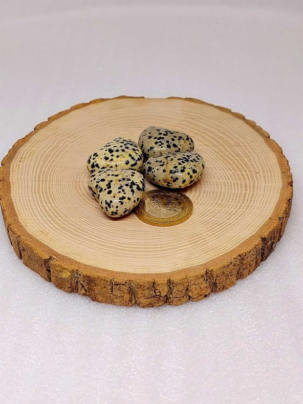 Dalmaçyalı Jasper Taşı Kalp Şekilli (14-16gr) - Resim 2