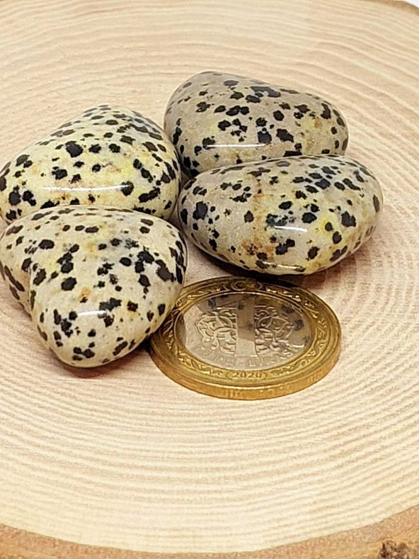 Dalmaçyalı Jasper Taşı Kalp Şekilli (14-16gr) - Resim 3