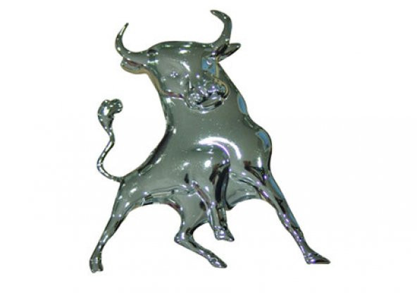 Space Boğa Amblem / YACI25 ürün görseli 1