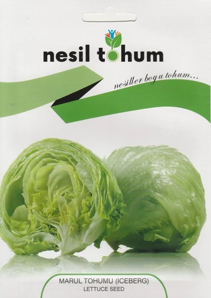 NESİL İCEBERG MARUL TOHUMU 1000 ADET - Resim 2