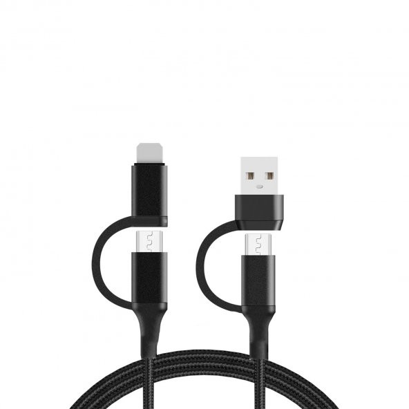 Winex 100W 4in1 Type-C - USB - Lightning - Type-C Çıkışlı Hızlı Data ve Şarj Kablosu Siyah