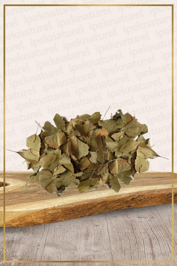 Ginko Biloba Yaprağı - Ginkgo 1 Kg