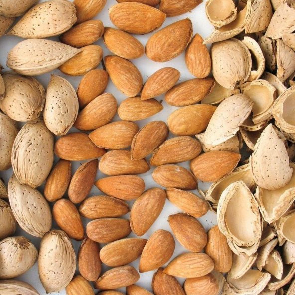 Verimli Tüplü Yarı Bodur Miss Elizabeth Süt Taş Badem Fidanı - 4