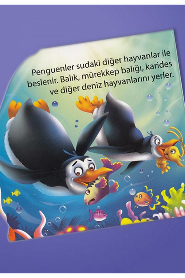 Ben Kimim? - Su Hayvanları - 5 Kitap - 2