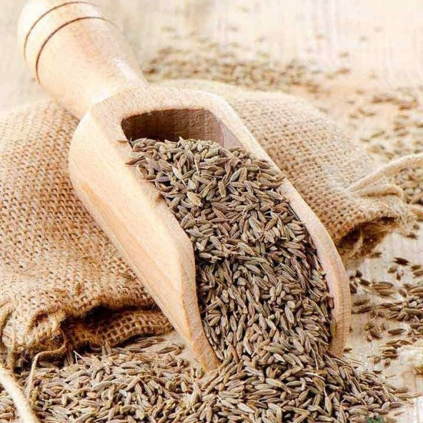 Doğal Rezene Tohumu (50 tohum) - Resim 4