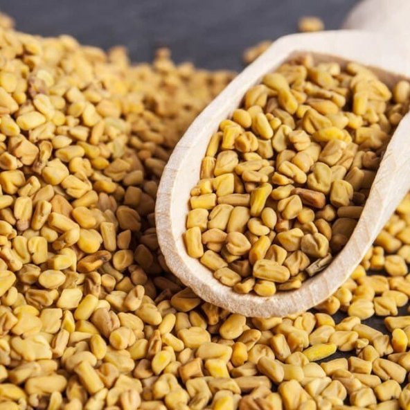 Çemen Otu Tohumu (30 tohum) ürün görseli