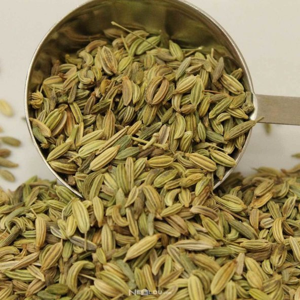 Doğal Kimyon Tohumu(100 tohum) - Resim 2