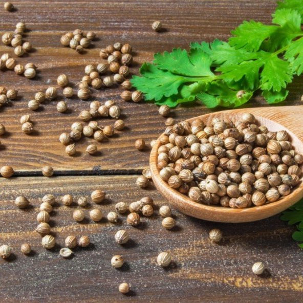 Doğal Aşotu Tohumu(50 tohum) - Resim 5