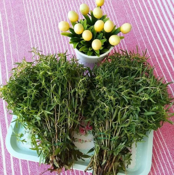 Naturel Zahter Kekiği Tohumu (200 tohum) ürün görseli