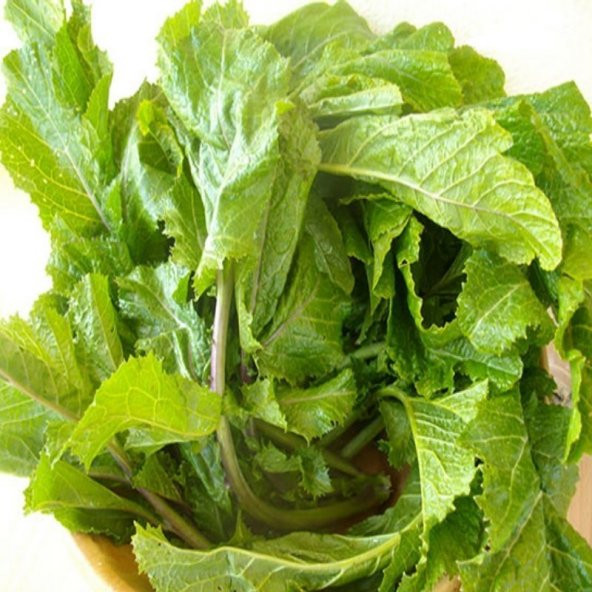 Doğal Hardal Otu Tohumu(100 tohum) - Resim 4