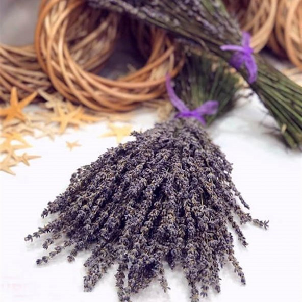 Lavandula Angustifolia Lavanta Çiçeği Tohumu(100 adet) - Resim 3