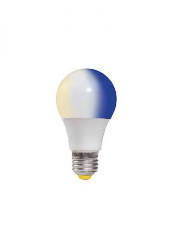 10W+1W Gündüz Ve Gece Ampulü Beyaz - Mavi Işık 10 Adet - 2