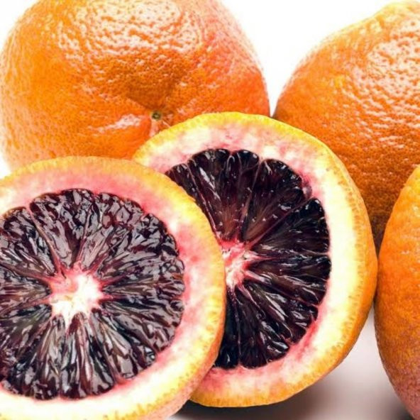 Tüplü Özel Çeşit Kan Portakal Fidanı (Meyve Verme Yaşında) ürün görseli