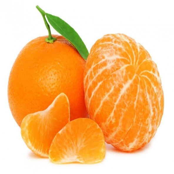 Tüplü Parlak Meyveli Fremont Mandalina Fidanı - Resim 2