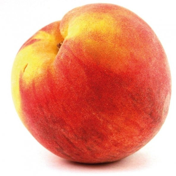 Tüplü Tam Bodur Yöresel Bursa Yarma Şeftali Fidanı ürün görseli