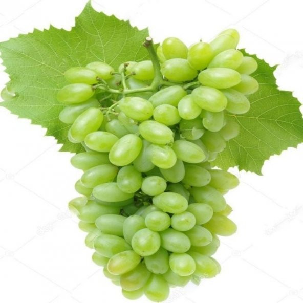 Tüplü Uzun Meyveli Hatun Parmağı Üzüm Fidanı - Resim 2