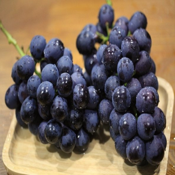 Tüplü Şaraplık Royal Üzüm Fidanı - Resim 2