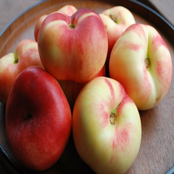 Tüplü Özel Çeşit Basık Nektarin Fidanı - Resim 4