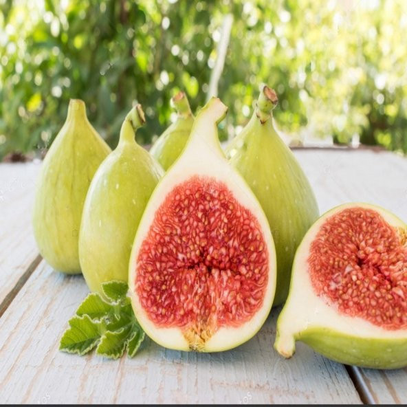 Tüplü Kalın Kabuklu Gök Lob İncir Fidanı - Resim 4