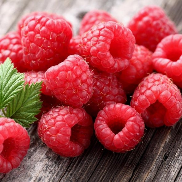 Tüplü Lezzetli Yediveren Ruby Ahududu Fidanı - Resim 2