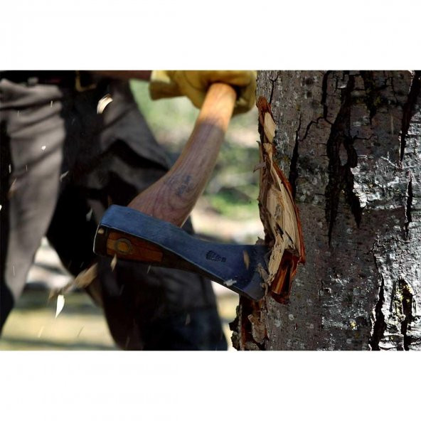 Helko Werk Black Forest Hessen Woodworker Balta 70Cm - 4