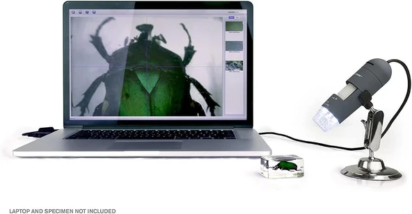 Celestron Deluxe Elde Taşınabilir Dijital Mikroskop (44302-C) Gri - 4