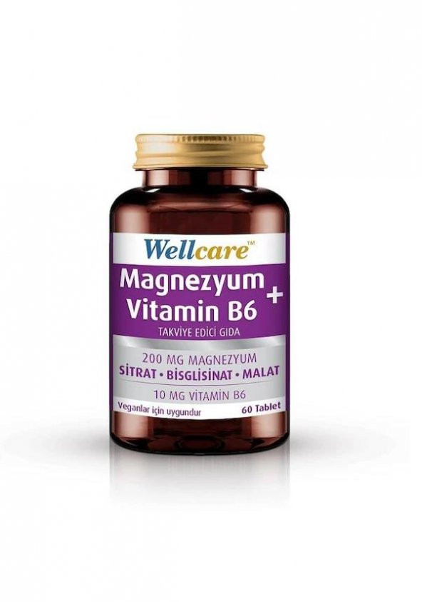 Wellcare Magnezyum + Vitamin B6 60 Tablet 8699680010250
