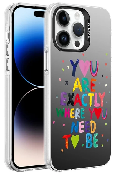 Apple iPhone 14 Pro Max Kılıf Desenli Silver Lüx Sert Kapak - 8