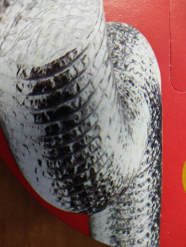 Aliminyum Aspiratör Havalandırma Borusu (DAVLUMBAZ BACA) - 2