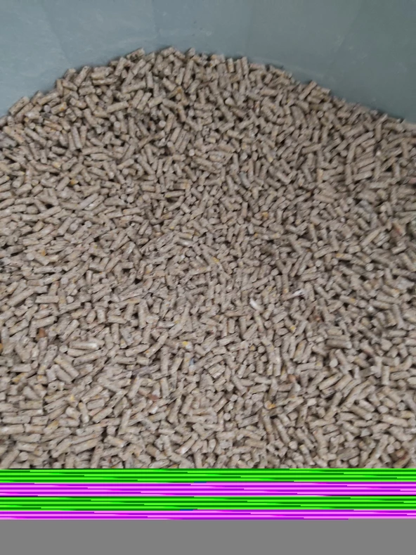 Optima Yumurta Pellet Tavuk Yemi 5 Kg