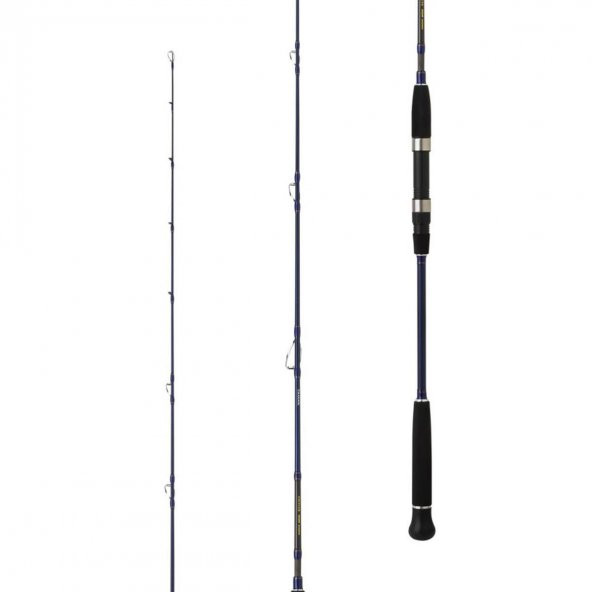 Daiwa Exceler Oceano 190cm 60-120gr Jig Olta Kamışı - 2