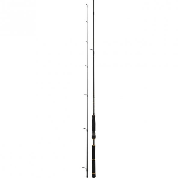 Daiwa New BG Seabass 244 cm 14-42 gr 2 Parça Spin Olta Kamışı - 2