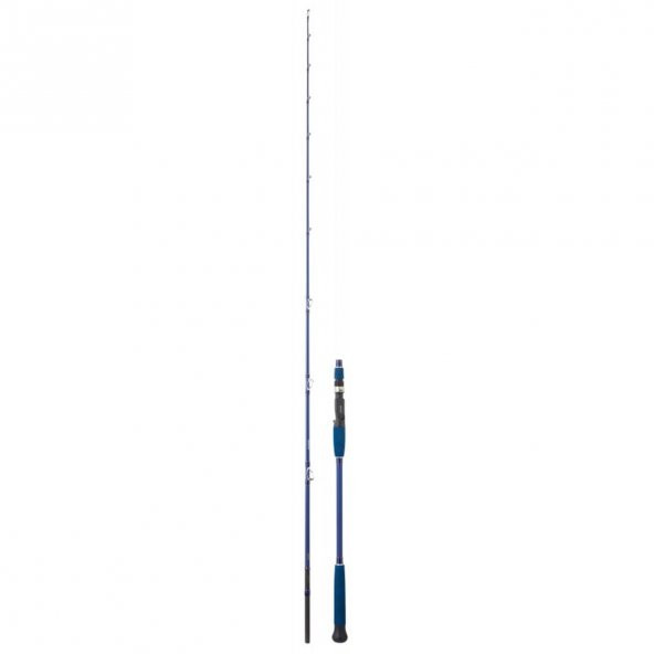 Daiwa Legalis Oceano JG 198 cm 250 gr 2P Tetikli Slow Jig Olta Kamışı - 9