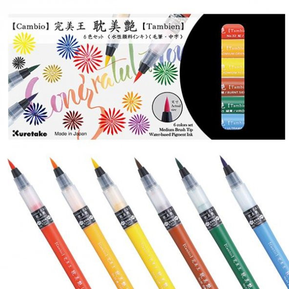 Zig Cambio Tambien Brush Pen Fırça Uçlu Kalem 6 lı Set