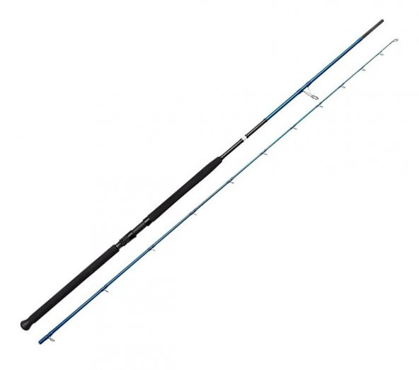 Savage Gear SGS2 Shore Jigging 305 cm 30-100 gr 2 Parça Jig Kamışı