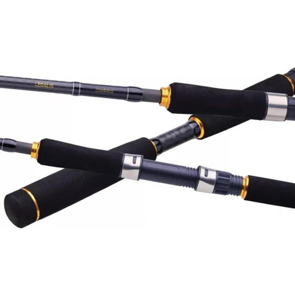 Daiwa Legalis Seabass 221 cm 28-84 gr 1+1 Kamış - 2