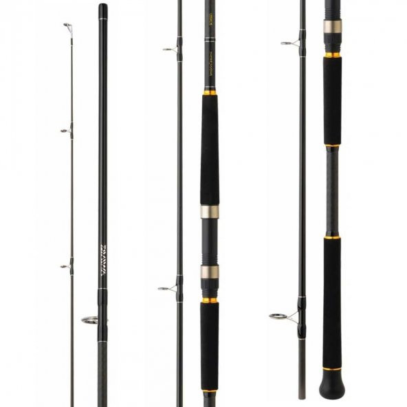 Daiwa Legalis Shore Jigging 290Cm 28-84Gr 2 Parça Olta Kamışı - 2