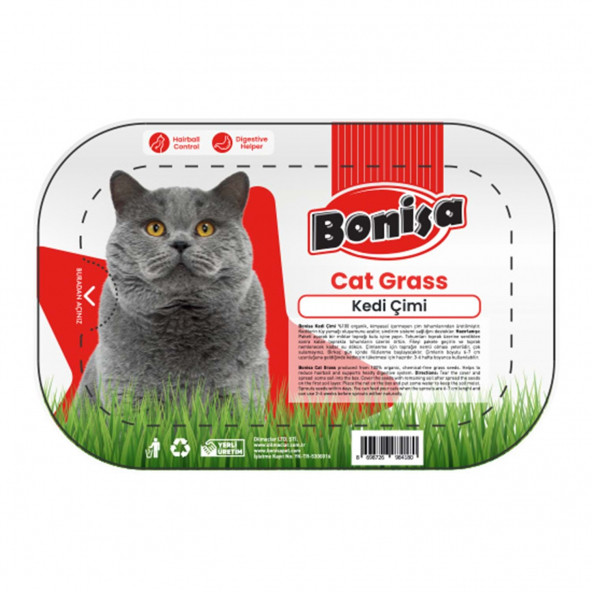 Bonisa Kedi Cimi ( Cat Grass )