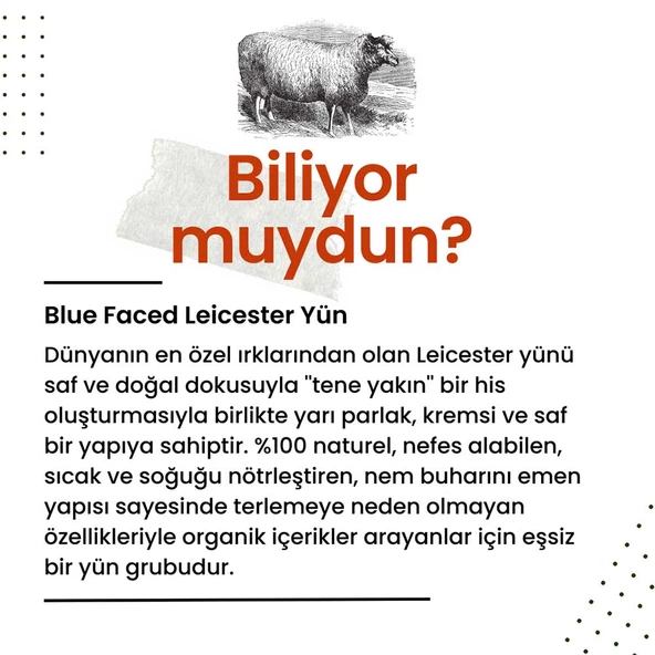 Etrofil Blue Faced Leicester Wool 79080 Frosty Green - Resim 5