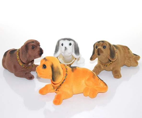 Oynar Başlıklı Kafa Salayan Köpek - 1