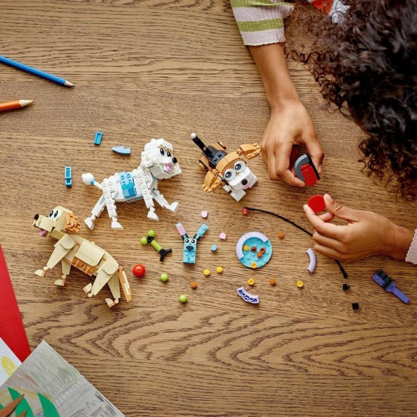 Lego Creator Sevimli Köpekler 31137,Beagle, Poodle ve Labrador Modelleri İçeren Yaratıcı Oyuncak Yapım Seti (475 Parça) - 6