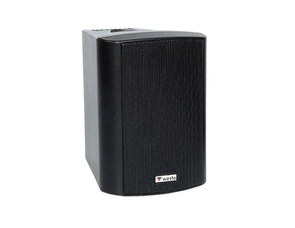 Westa WS-5TB 5.5" 13cm 16 Ohm 125 Watt Trafolu Kabin Duvar Tipi Hoparlör Sağ Sol Takımı Siyah