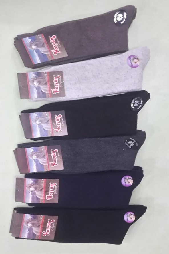 Hasyün Çorap Kuzu Yünü Dikişsiz Burunlu Erkek Çorabı 6 Adet Paket Karışık Renk