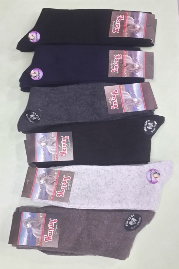 Hasyün Çorap Kuzu Yünü Dikişsiz Burunlu Erkek Çorabı 6 Adet Paket Karışık Renk - 2