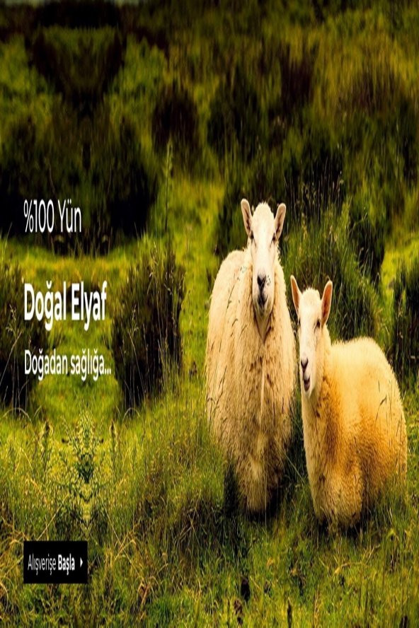 Hasyün Çorap Kuzu Yünü Dikişsiz Burunlu Erkek Çorabı 6 Adet Paket Karışık Renk - 5