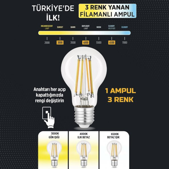 Heka 3 Renkli Led Filament Rustik Ampul 6W E27 A60