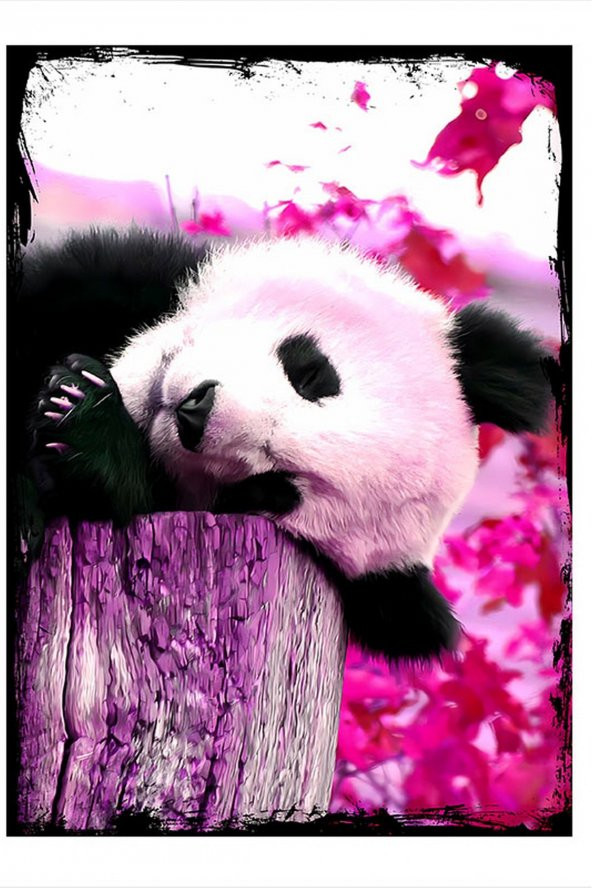 Karizma Tablo Sevimli Panda Mdf poster 35cm X50cm